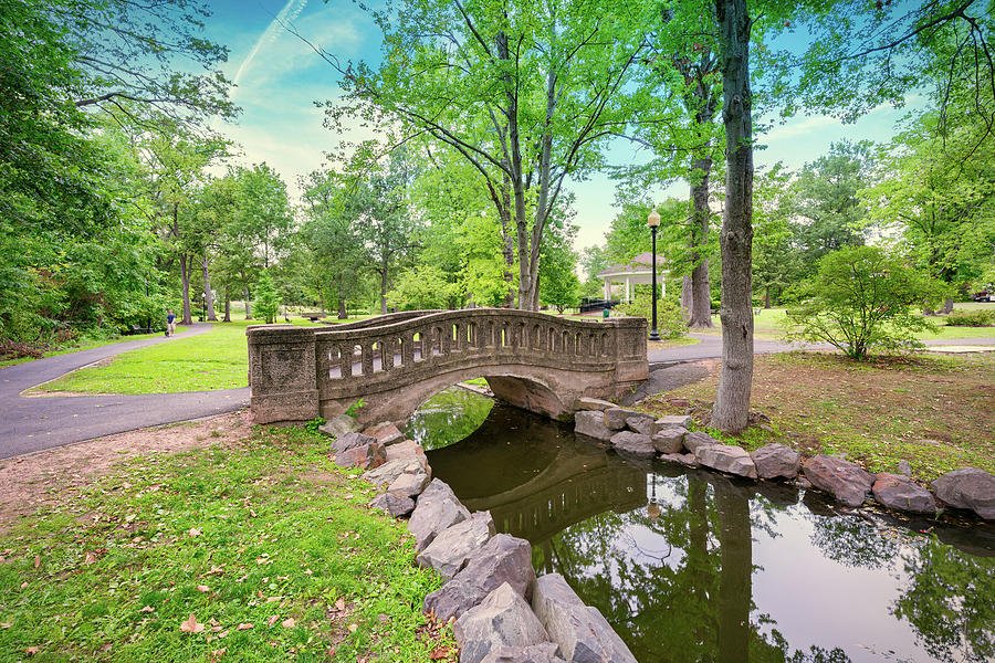 🏞️ 미야코다 종합공원 (都田総合公園) 이미지 8